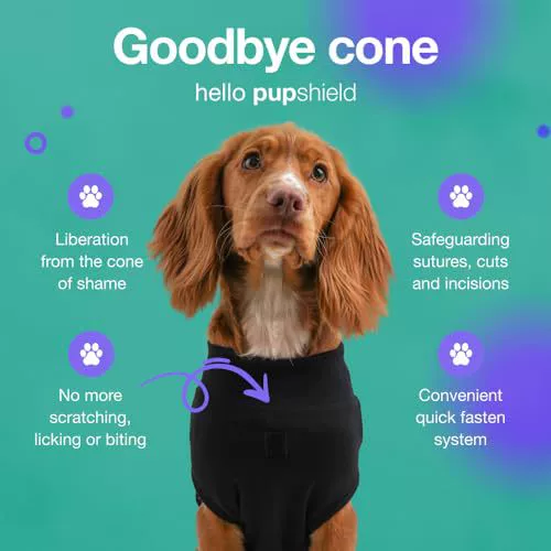 Pet sterilization suit wound anti licking suit suitable for all body types of dogs surgical recovery clothing set - V.I.P Digital Presence