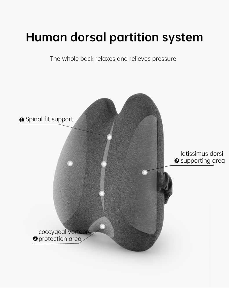 Lab Extra Dense Lumbar Pillow - Patented Ergonomic Multi-Region Firm Back Support for Lower Back Pain Relief - Lumbar Su - V.I.P Digital Presence