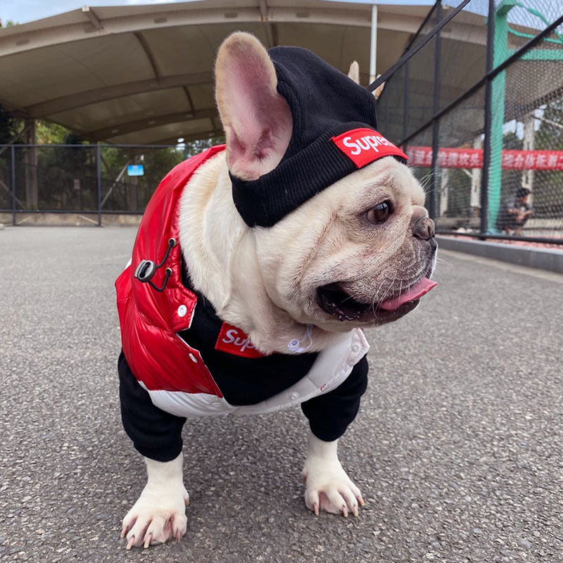 Pet Clothing Trendy Brand Street Dog Clothes Fighting Teddy Schnauzer Bottom Coat Hat Set - V.I.P Digital Presence