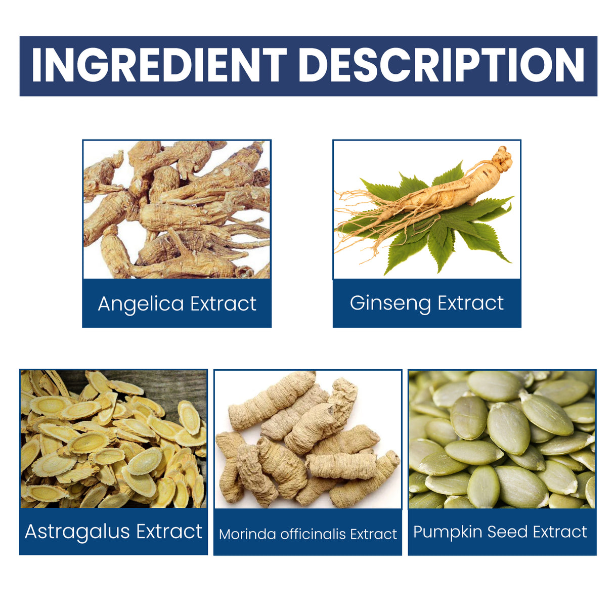 Prostate Herbal Gel For Men To Relieve Prostate Discomfort And Protect Yang Health Body Care - V.I.P Digital Presence