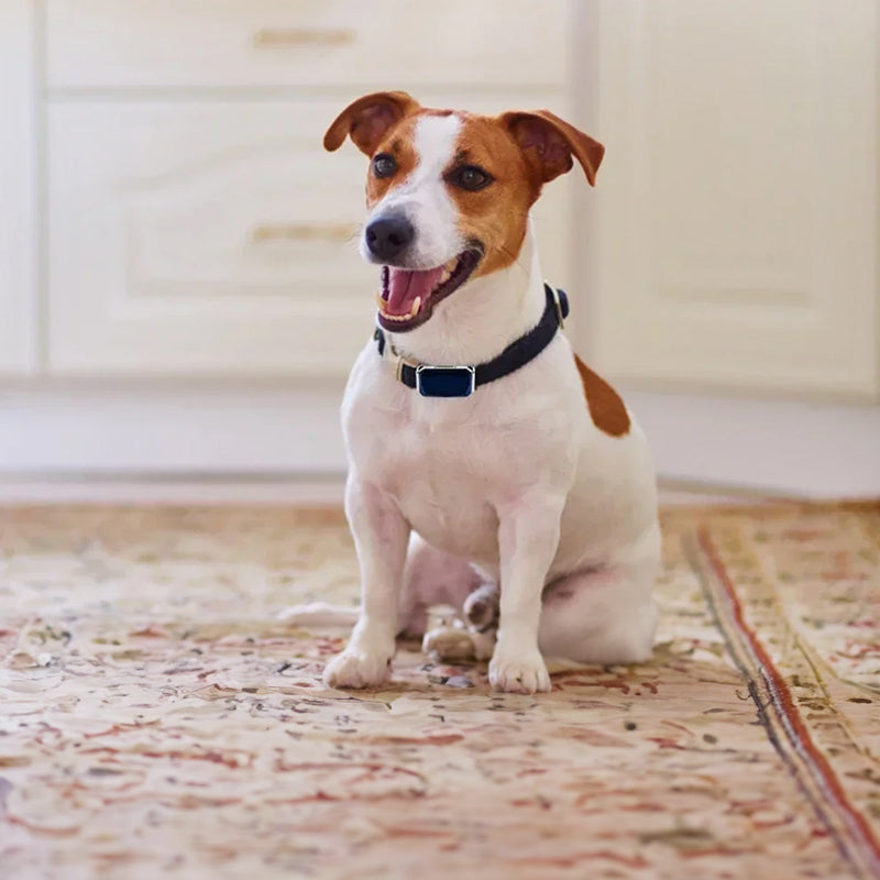 G12 Smart GPS pet tracker: Mini, waterproof, anti - loss collar for dogs & cats - V.I.P Digital Presence
