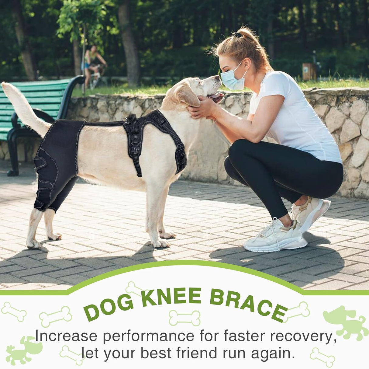 Pet Leg Support Dog Knee Brace Post-Surgery Rehabilitation Knee Support Joint Protection Bandage - V.I.P Digital Presence