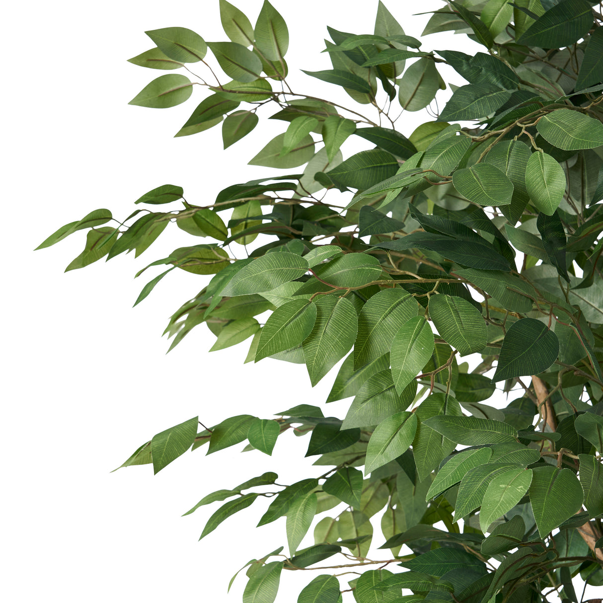 180CM ARTIFICIAL FICUS TREE - V.I.P Digital Presence