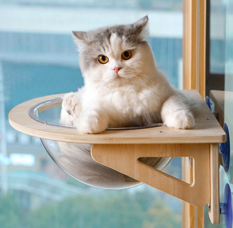 Solid wood spacecraft cat nest cat hammock hanging suction cup climbing frame balcony - V.I.P Digital Presence