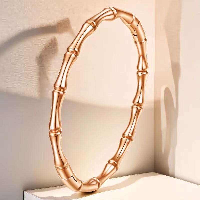 Stainless steel titanium steel bracelet for women non fading electroplated buckle jewelry for women - V.I.P Digital Presence