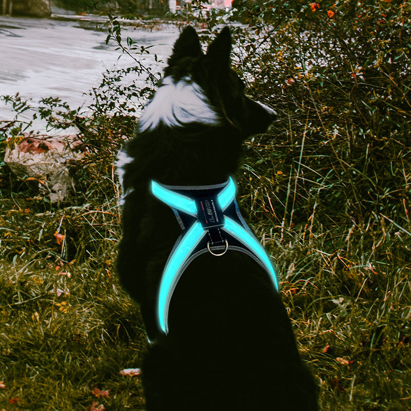 Pet supplies: explosion - proof, flushable, 8 - gear, color - changing LED, chest braces, clothes and collars with traction. - V.I.P Digital Presence