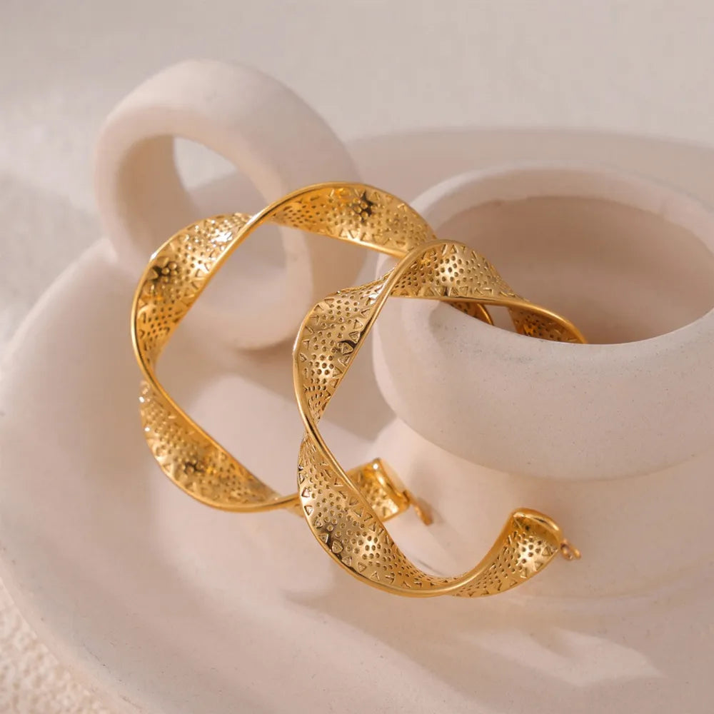 Titanium Steel Twisted Earrings - V.I.P Digital Presence