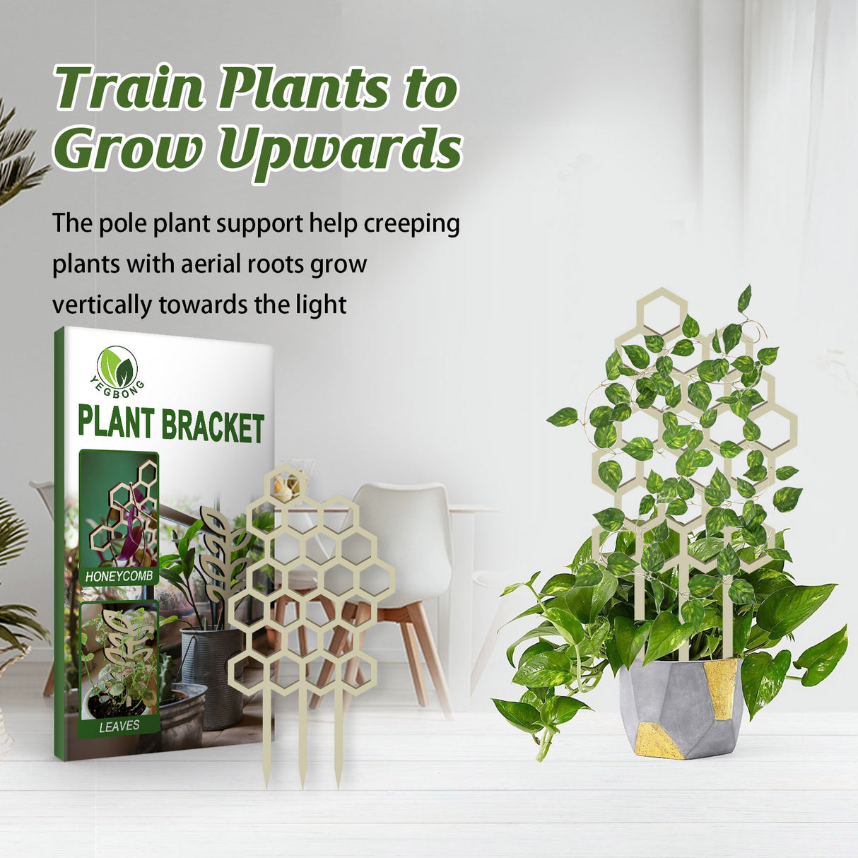 Garden Plant Trellis, Home Wooden Geometric Molding Decorative Support Flower Arrangements Climbing Pergola - V.I.P Digital Presence