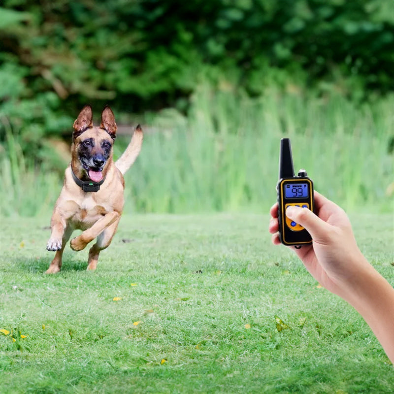 Dog training supplies - bark control device. The collar features electric shock and vibration for training. - V.I.P Digital Presence