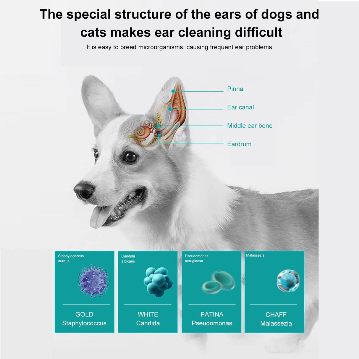 Pet Ear Cleaning Oil for Cats and Dogs - Cleansing, Deodorizing, and Removing Mites from Ears - V.I.P Digital Presence