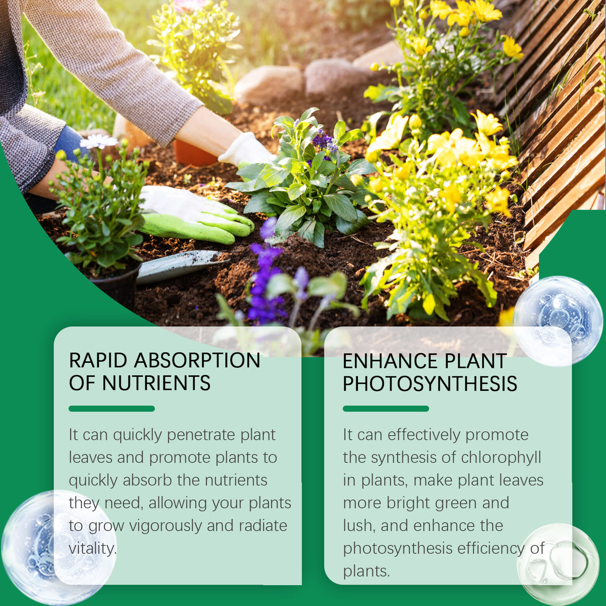 Moonspry Chlorophyll Spray, General Whole Plant Nutrient Solution For Healthy Growth Of Flowers And Fruit Trees And Green Leaves - V.I.P Digital Presence