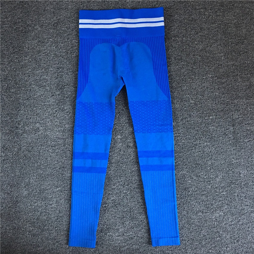 Seamless Yoga Set Sport Wear Women Gym Workout Fitness Clothing Female Sport Suit High Waist Legging Sports Bra Tracksuit - V.I.P Digital Presence