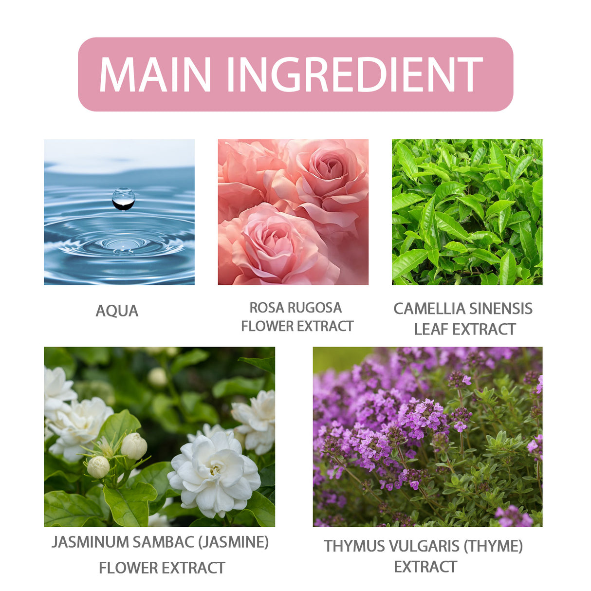 Pheromone Perfume Rose Fresh Light Fragrance Date Atmosphere Exudes Charm Long-Lasting Fragrance For Women - V.I.P Digital Presence