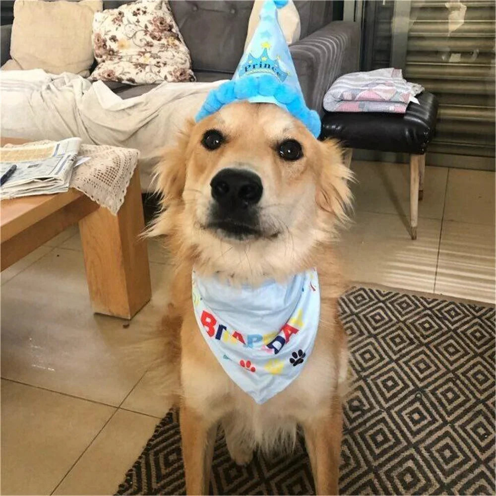 2Pcs/Set Dog Hat Bib Dog Birthday Bandana Scarf Adjustable Bandana Neckerchief Cat Dog Birthday Bib Hat Pet Supplies - V.I.P Digital Presence