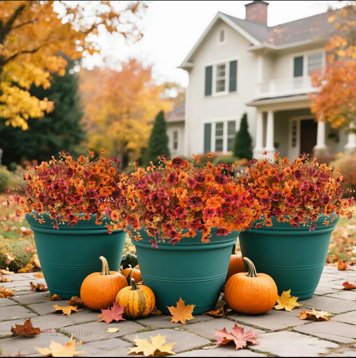 EcoBloom Outdoor Flower Set