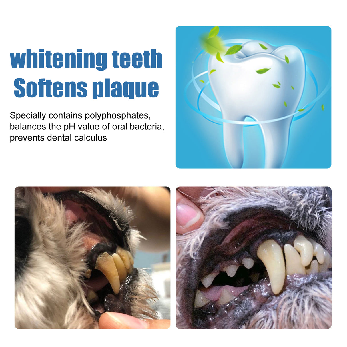 Pet Tartar Remover, Removing Dental Calculus Yellow Teeth Halitosis Cleaning Teeth Mouth Foam Cleaner - V.I.P Digital Presence