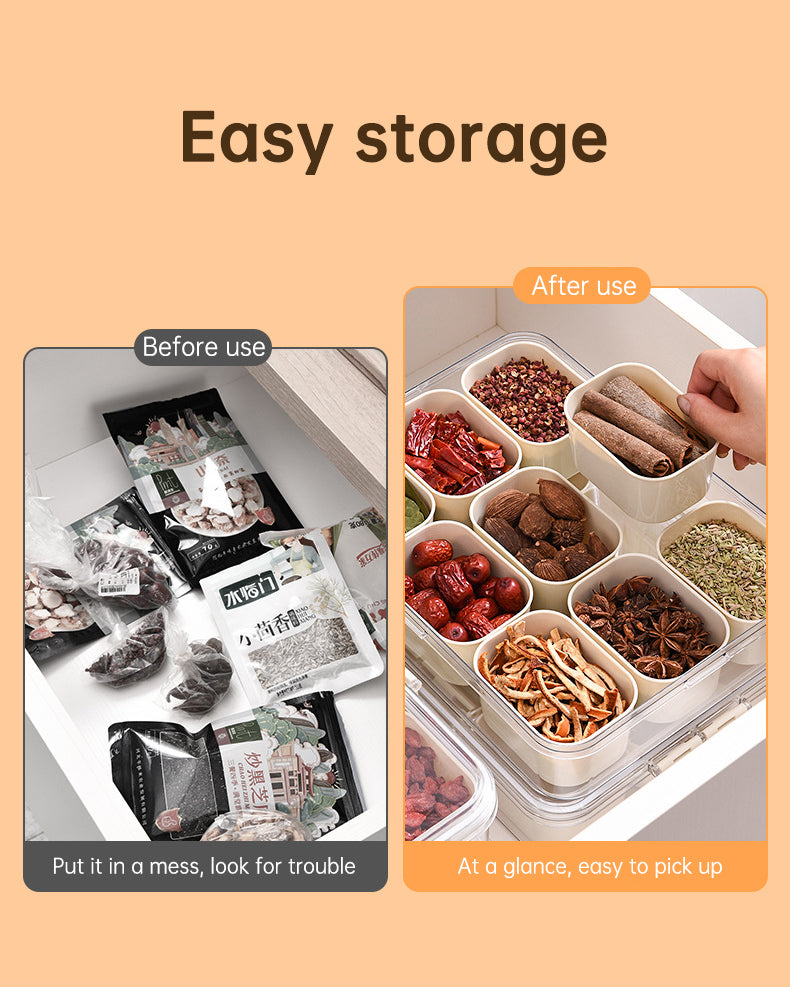 Design Sealed Snackle Storage Box With 9pcs Divider Plastic Divided Veggie Tray With Lid And Handle - V.I.P Digital Presence