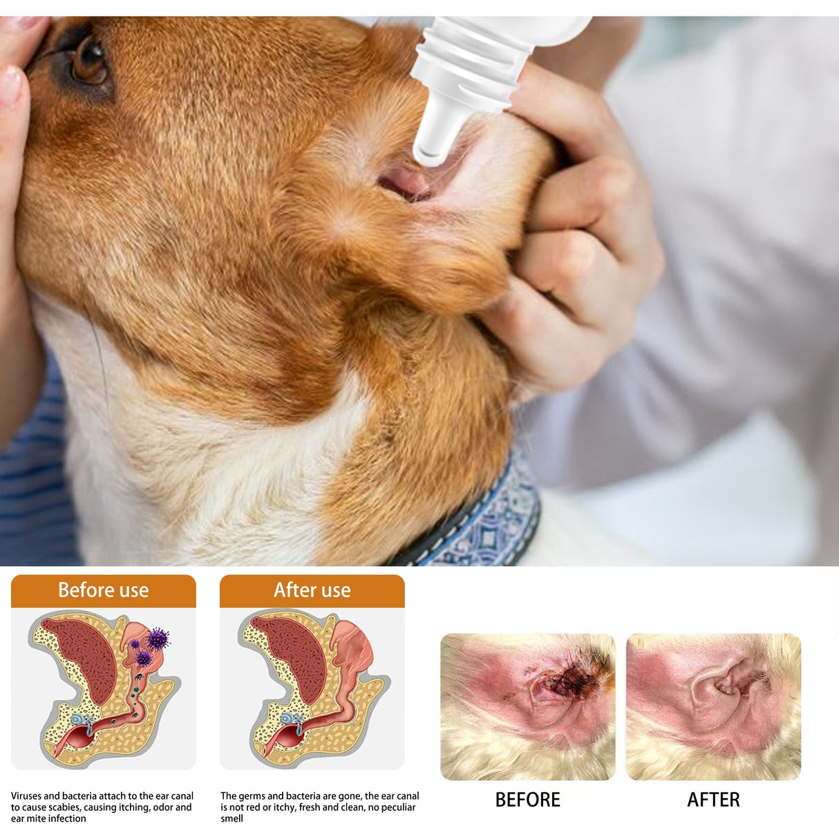 Pet Ear Cleaning Oil for Cats and Dogs - Cleansing, Deodorizing, and Removing Mites from Ears - V.I.P Digital Presence