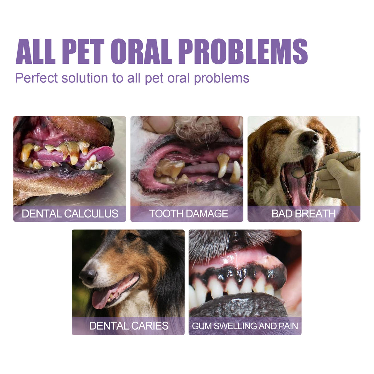 Pet Oral Repair Gel, Deep Cleaning Dog And Cat Tooth Stains Oral Cleaning Care - V.I.P Digital Presence