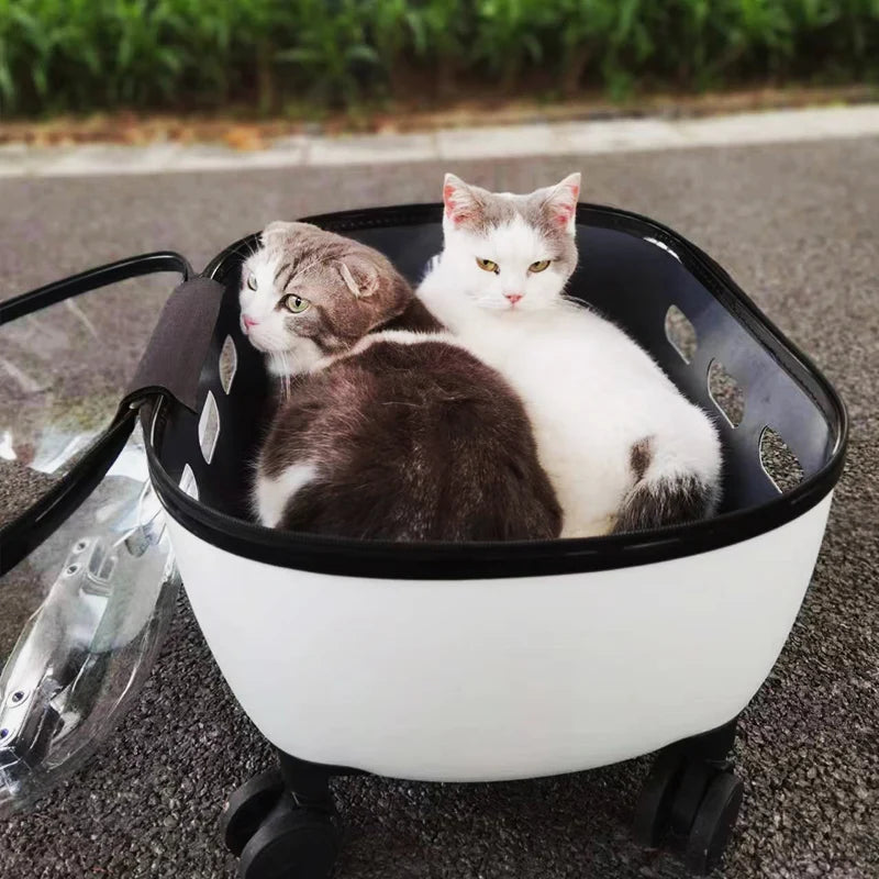 New Transparent Capsule Pet Travel Trolley Carriers Bag Stroller for 10kg Puppies Dogs Cat with Wheel - V.I.P Digital Presence