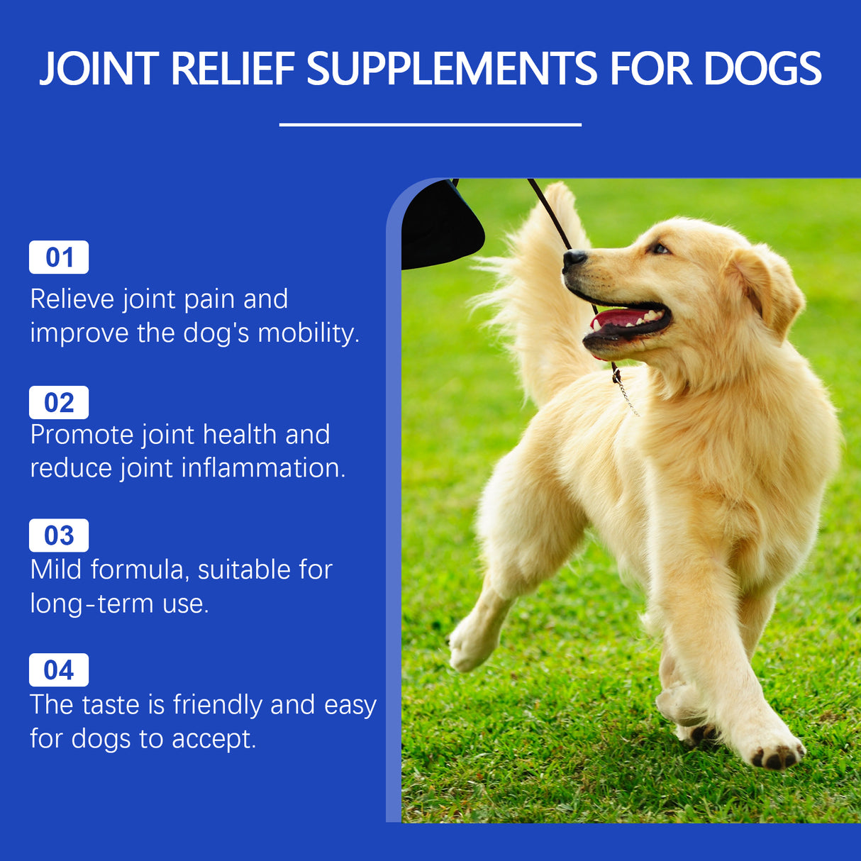Pet Dog Joint Supplement To Enhance Nutrition Care Joint Health Pet Joint Care Agent - V.I.P Digital Presence