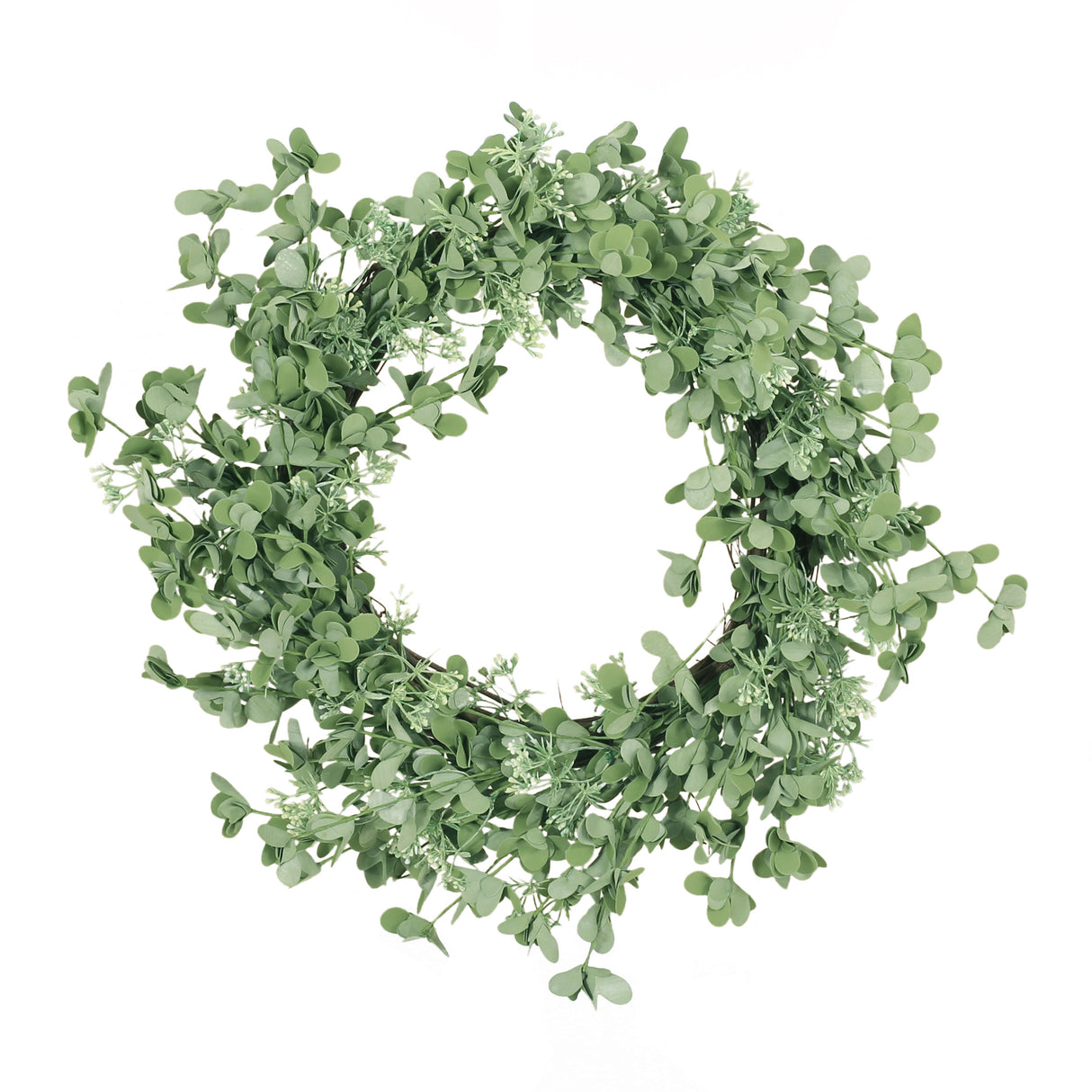 27" OXALIS CORNICULATA WREATH - V.I.P Digital Presence