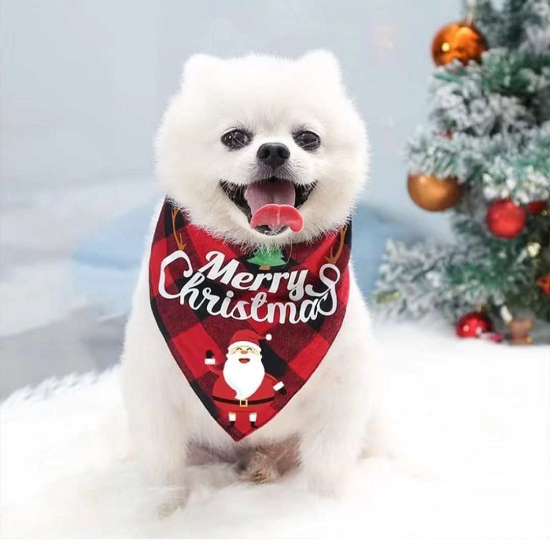 Christmas Day Border Protection Pet Small, Medium, and Large Dogs, Dogs, Cats, Teddy Triangular Towels, Water Jars - V.I.P Digital Presence