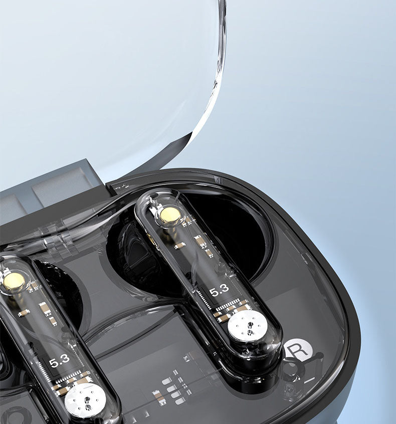 Bluetooth earphones with transparent compartment for hanging rope, wireless Bluetooth earphones with ultra long battery life - V.I.P Digital Presence