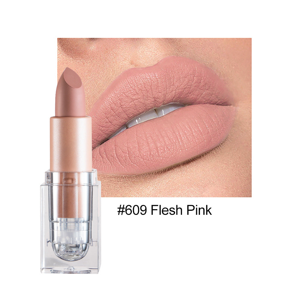 HANDAIYAN Matte Lipstick 12 Color Lipstick Not Easy To Fade Nude Pink Lipstick - V.I.P Digital Presence
