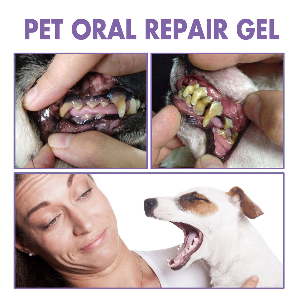 Pet Oral Repair Gel, Deep Cleaning Dog And Cat Tooth Stains Oral Cleaning Care - V.I.P Digital Presence