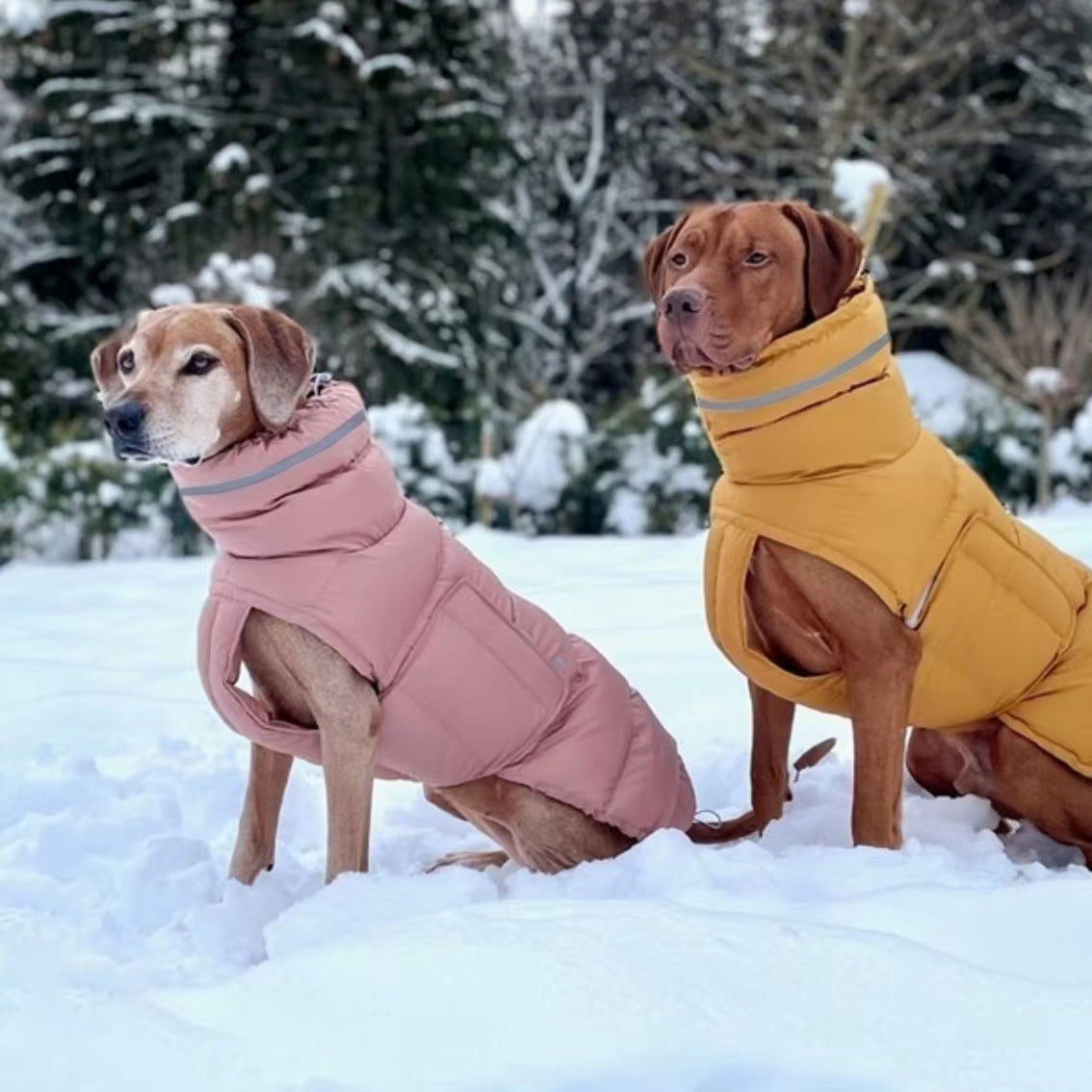 Dog clothing thickened warm waterproof windproof two leg coat pet vest cotton coat - V.I.P Digital Presence