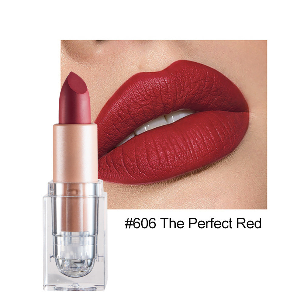 HANDAIYAN Matte Lipstick 12 Color Lipstick Not Easy To Fade Nude Pink Lipstick - V.I.P Digital Presence