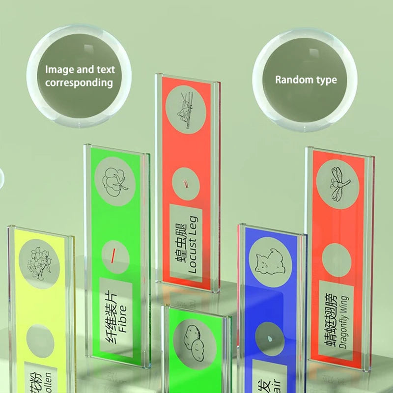 Pocket Microscope Display Montessori Handheld LED Light Biology Magnification Outdoor Students Teaching Gifts Children Stem Toys - V.I.P Digital Presence