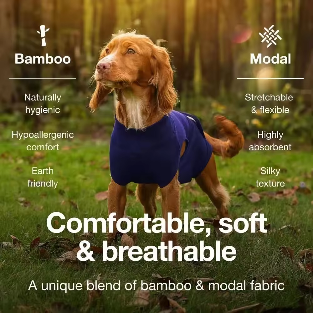 Pet sterilization suit wound anti licking suit suitable for all body types of dogs surgical recovery clothing set - V.I.P Digital Presence