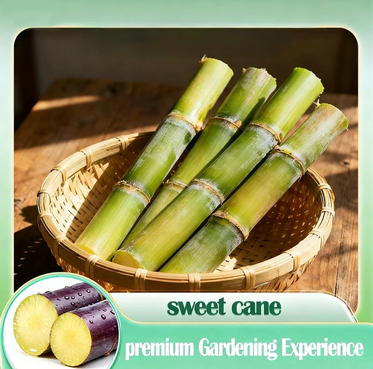 SweetHarvest Sugarcane Seeds