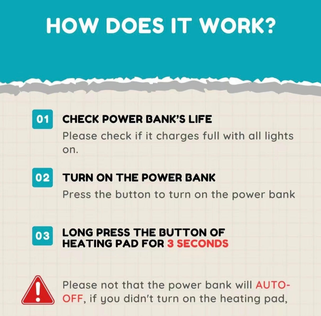 HeatFlex Back Massager