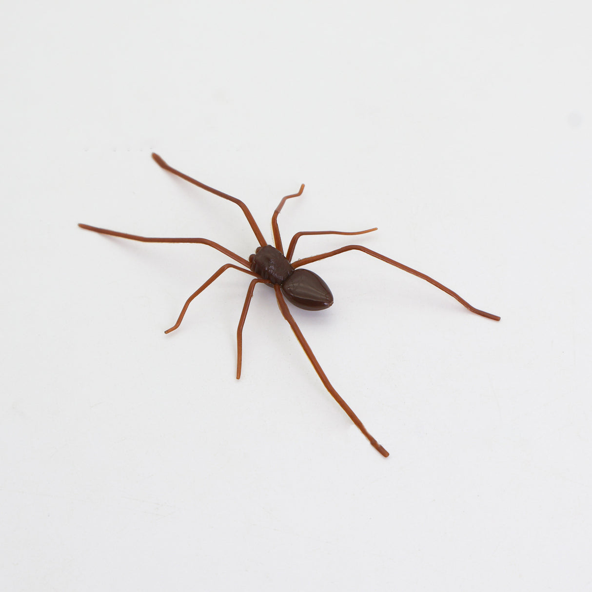 Plastic Spider as Decoration - Novelty Ornament - V.I.P Digital Presence