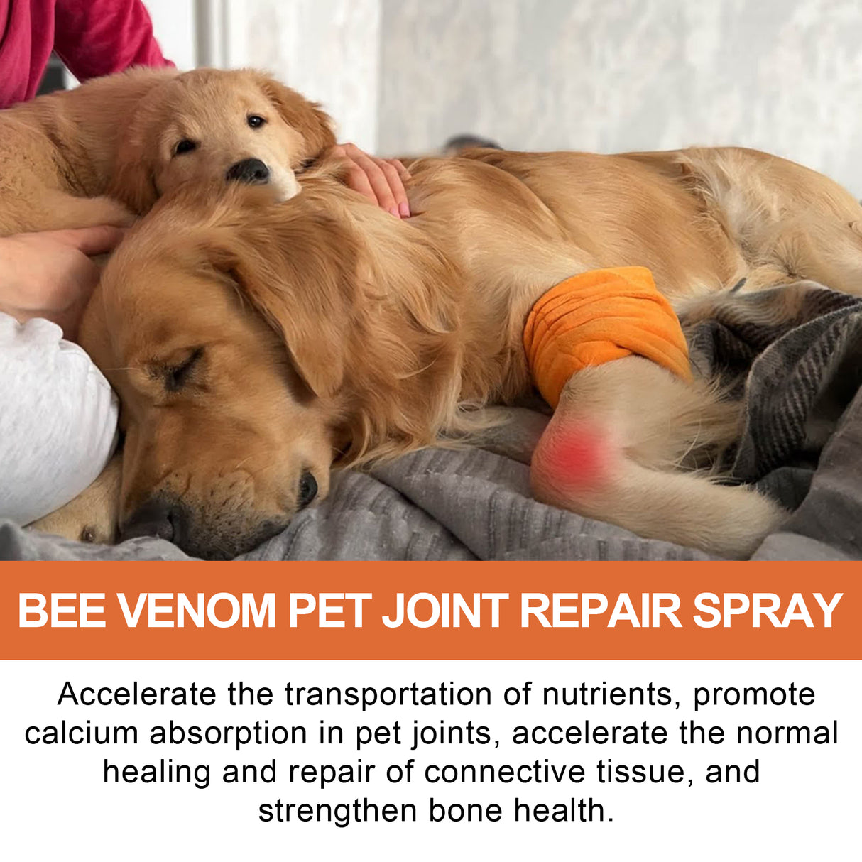 Pet Joint Repair Spray, Relieve Pet Joint Discomfort Muscle Weakness Pet Joint Care Spray - V.I.P Digital Presence