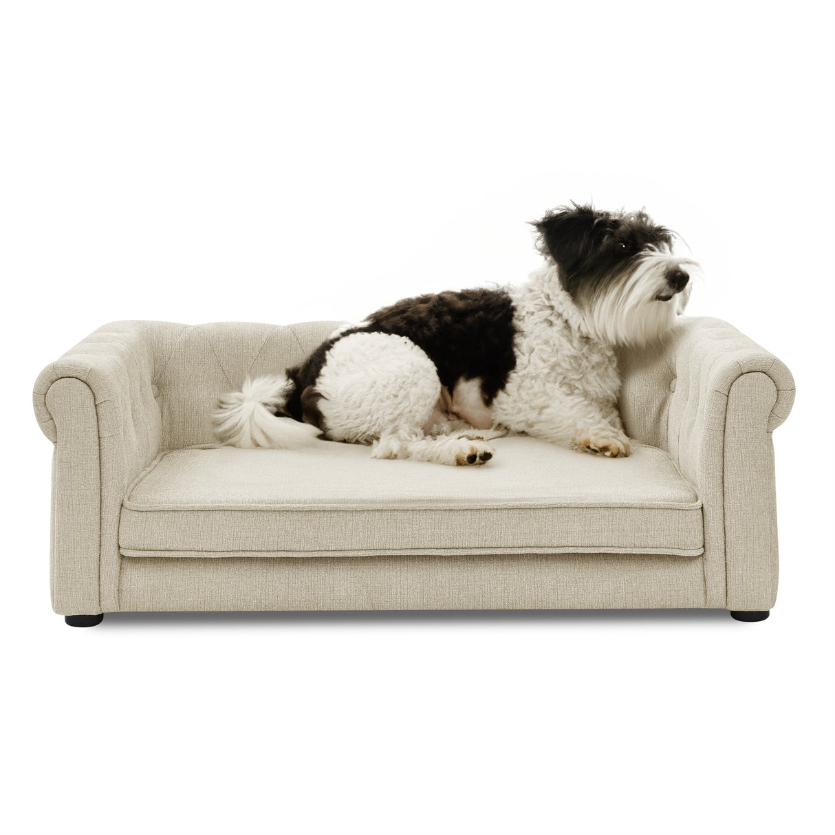 Elegant Rectangle Pet Bed for Medium and Large Dogs, Durable Elevated Dog Sofa Bed, Comfortable Dog Couch Beige - V.I.P Digital Presence