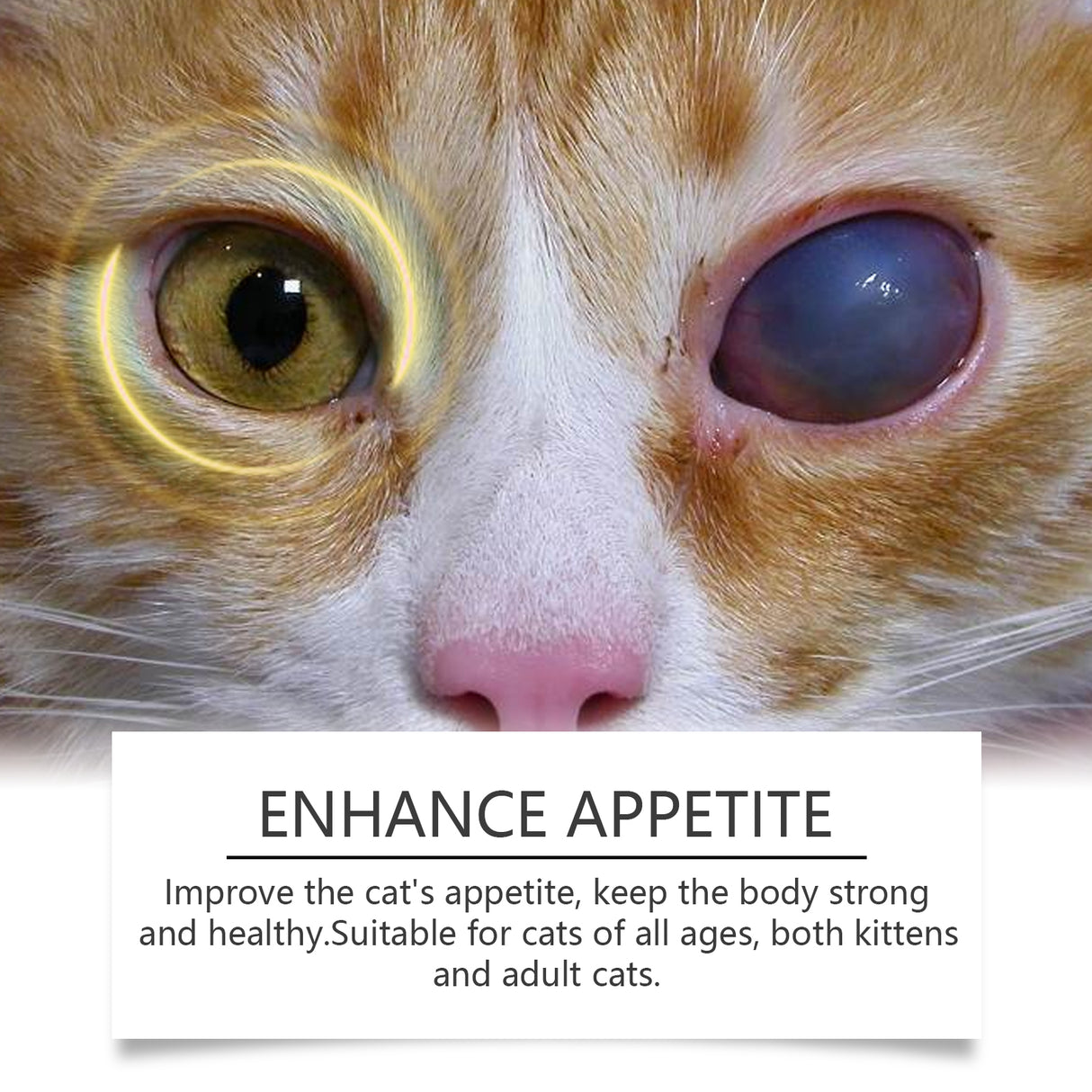 Compound Taurine Tablets For Cats Nutritional Supplement Multi-Dimensional Taurine Tablets For Cats - V.I.P Digital Presence
