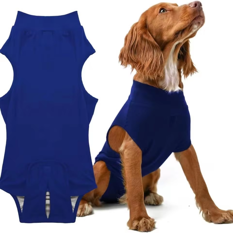 Pet sterilization suit wound anti licking suit suitable for all body types of dogs surgical recovery clothing set - V.I.P Digital Presence