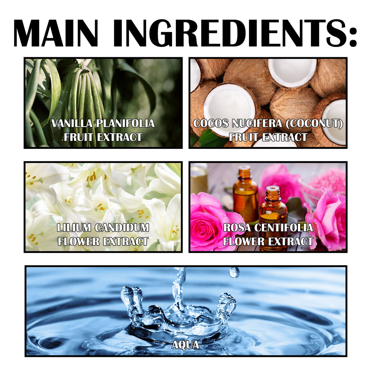 Premium Lily Perfume, Women's Lily Fragrance Fragrance Natural Fresh Stay Charm Ball Perfume - V.I.P Digital Presence