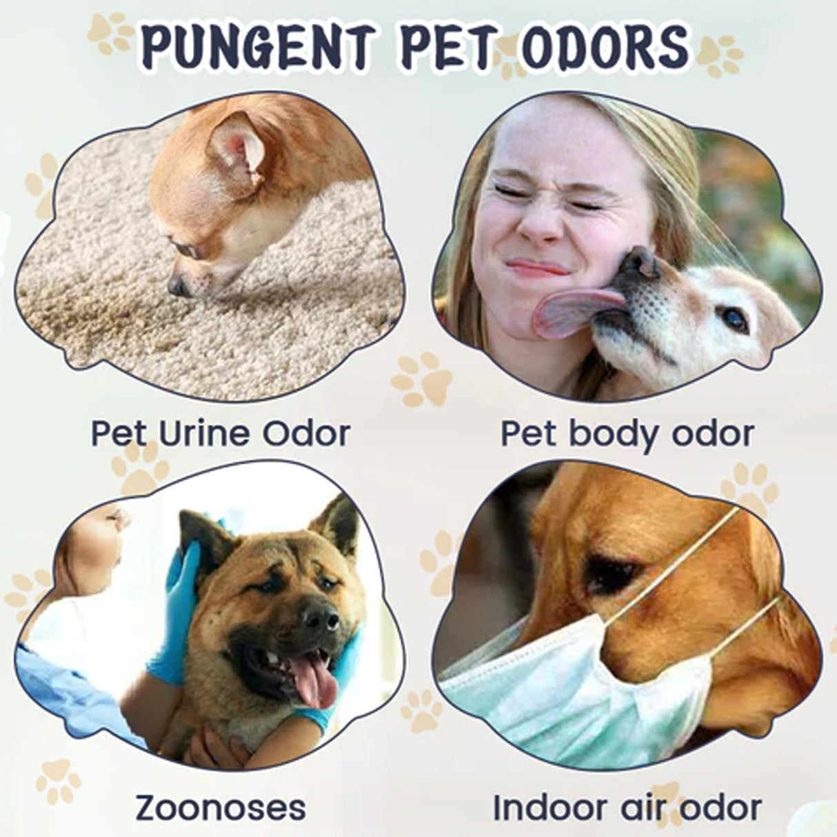 Pet Odor & Stain Eliminator, Clean Dog And Cat Body Odor Feces Odor Removal Indoor Fresh Deodorizer - V.I.P Digital Presence