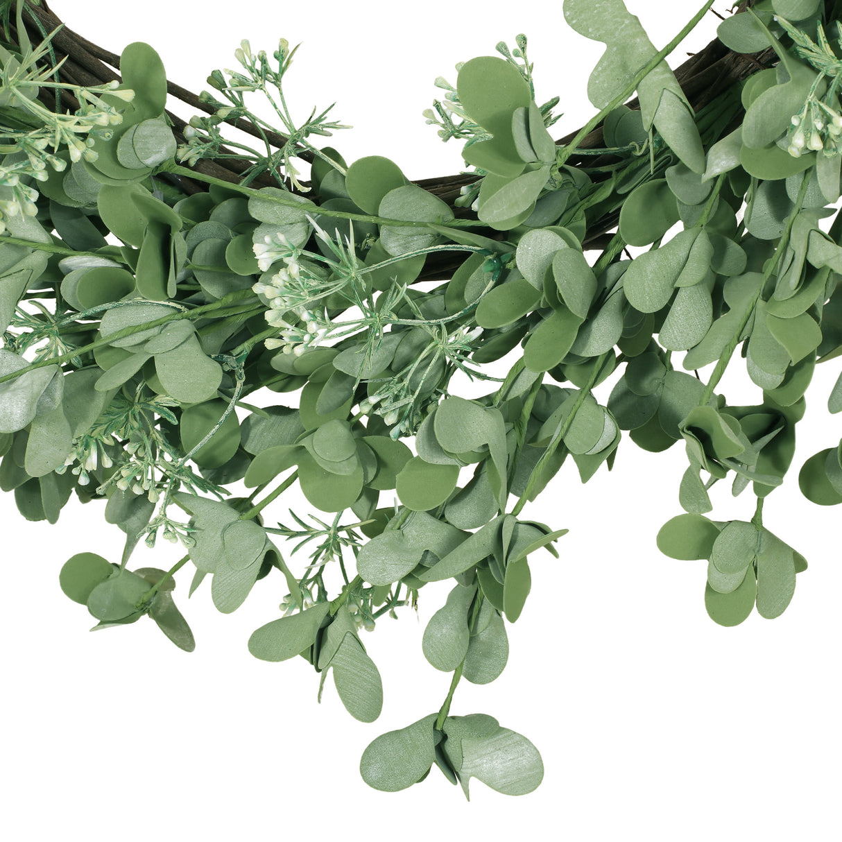 27" OXALIS CORNICULATA WREATH - V.I.P Digital Presence