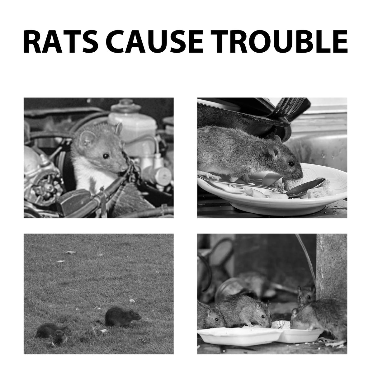 Mouse Repellent Spray, Household Gardening Rat-Repellent Rat-Repellent Solution Cockroach Repellent Mosquito Repellent Spray - V.I.P Digital Presence