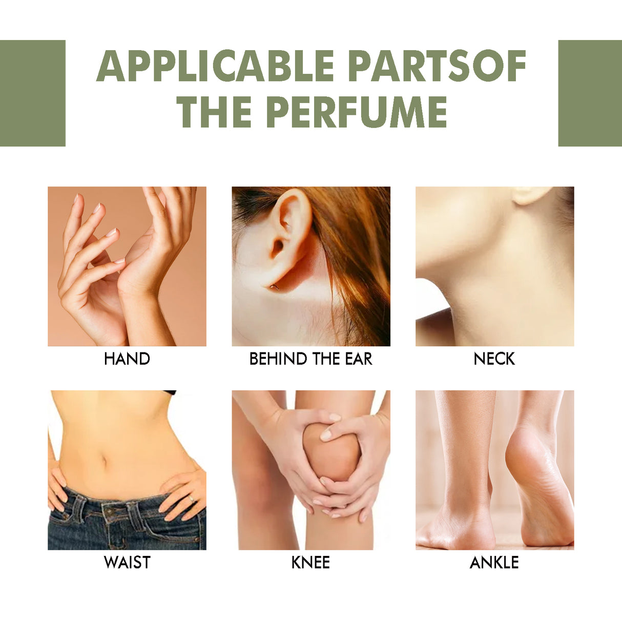 Bergamot Cedarwood Scent Experience Perfume, Fresh Wood Scent Lasting Fragrance Naturally Not Pungent Niche Perfume - V.I.P Digital Presence