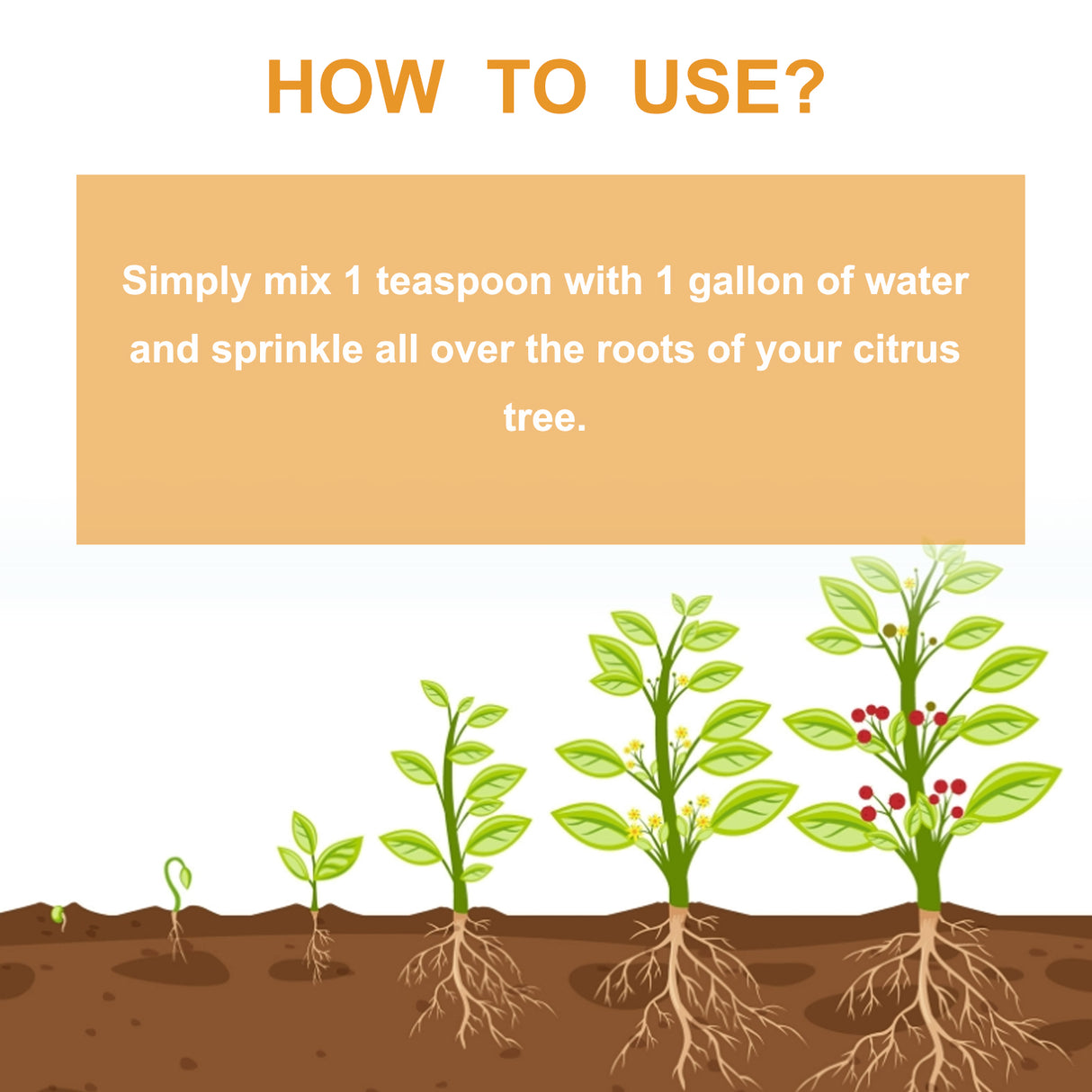 Premium 3-1-2 Liquid Fertilizer Concentrate For Citrus Trees, Orange Fruit Tree Plant Root Green Leaf Beauty Fruit Growth Nutrient Solution - V.I.P Digital Presence