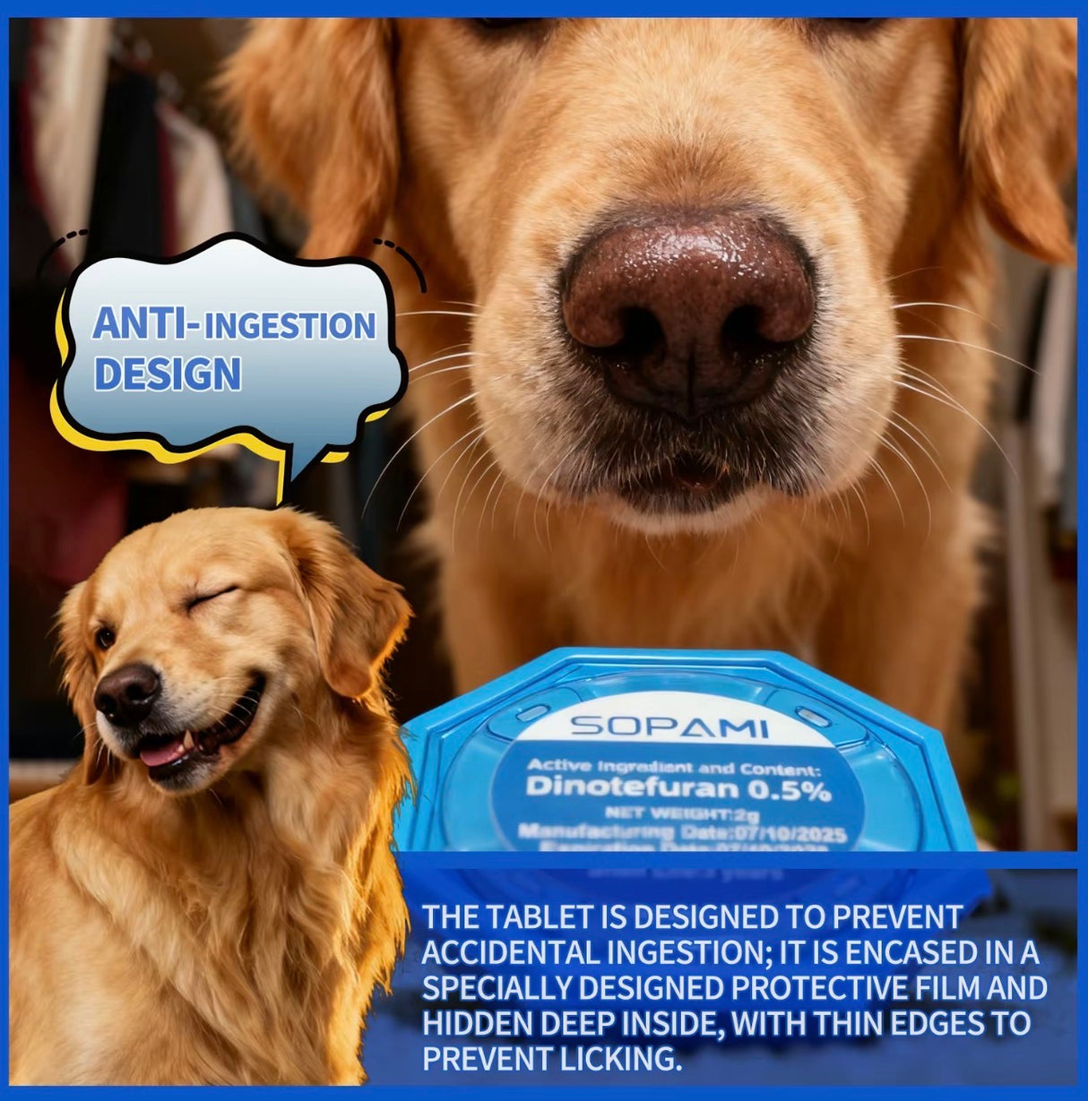 RoachGuard Indoor Roach Bait