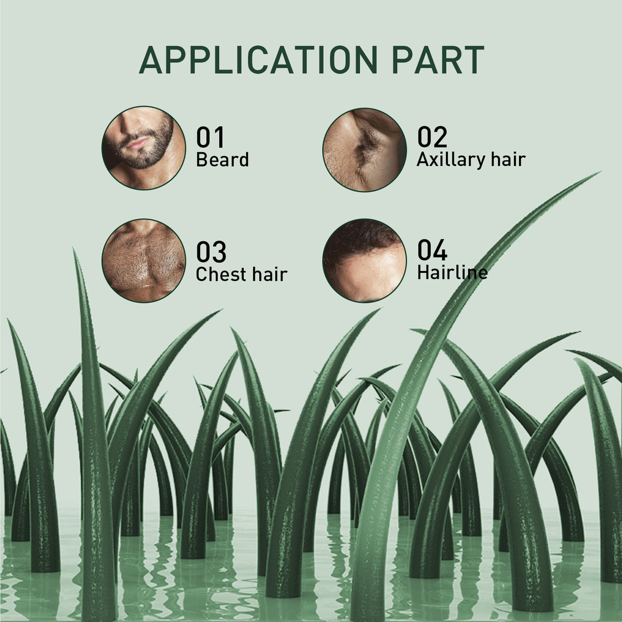 7 Days Essence Gently Moisturizes Hydrating Hairline Scalp Root Nourishing Hair Care Essential Oil - V.I.P Digital Presence