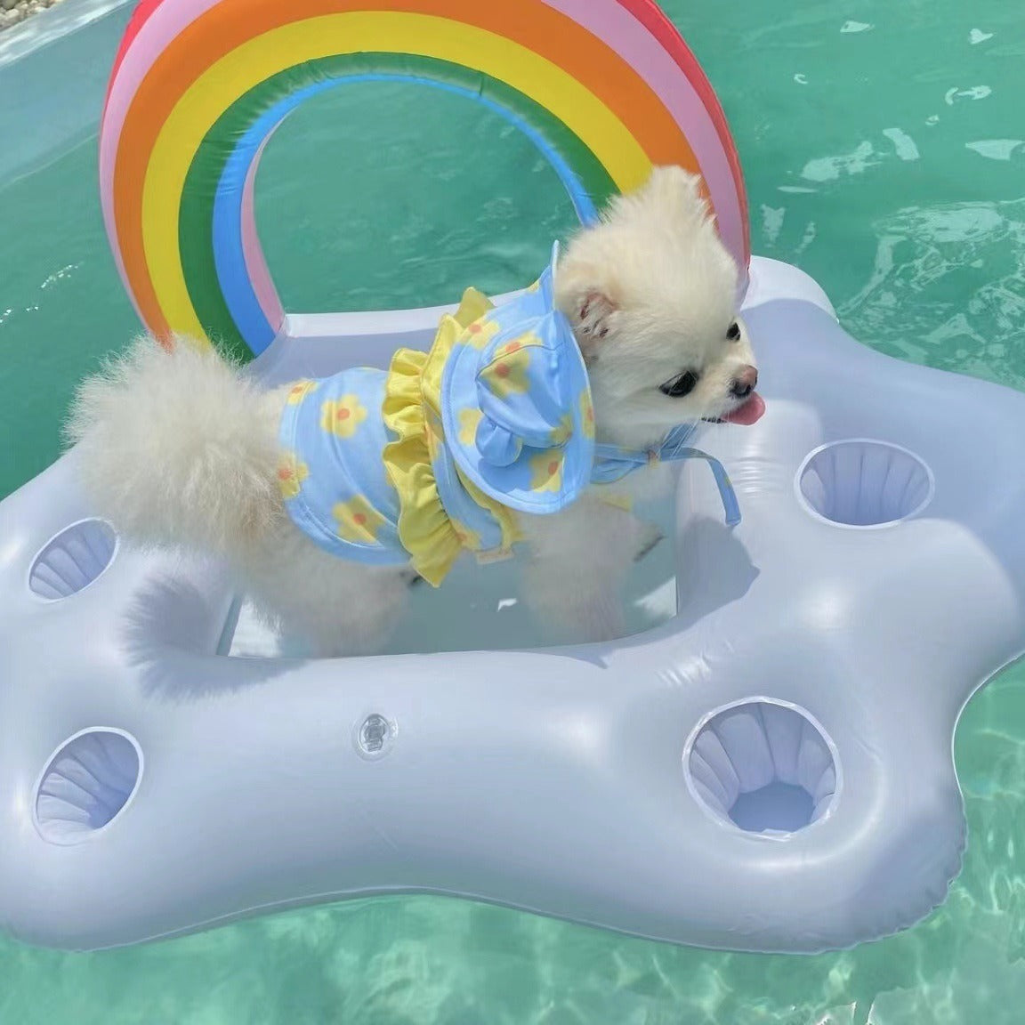 Pet swimsuit jumpsuit with bikini dog breathable vest swimsuit teddy bear - V.I.P Digital Presence
